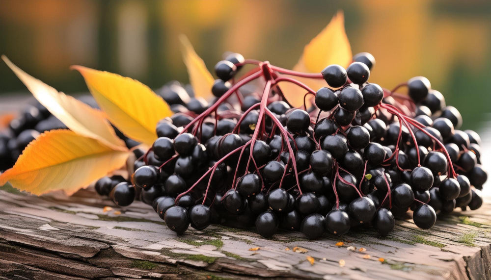 Elderberries on a wooden surface with leaves.