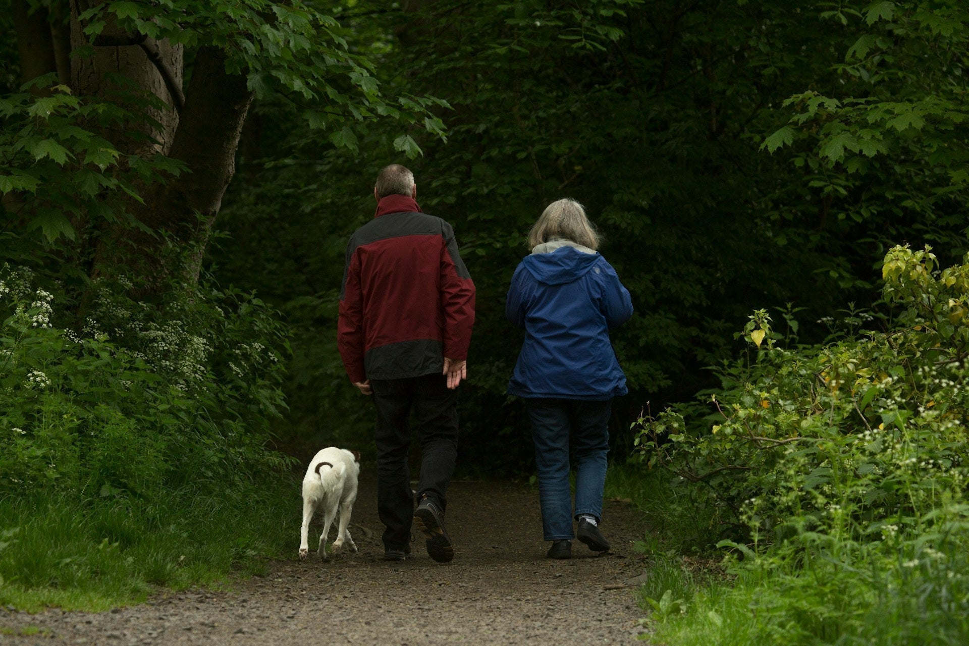 Why our immunity retires as we retire?