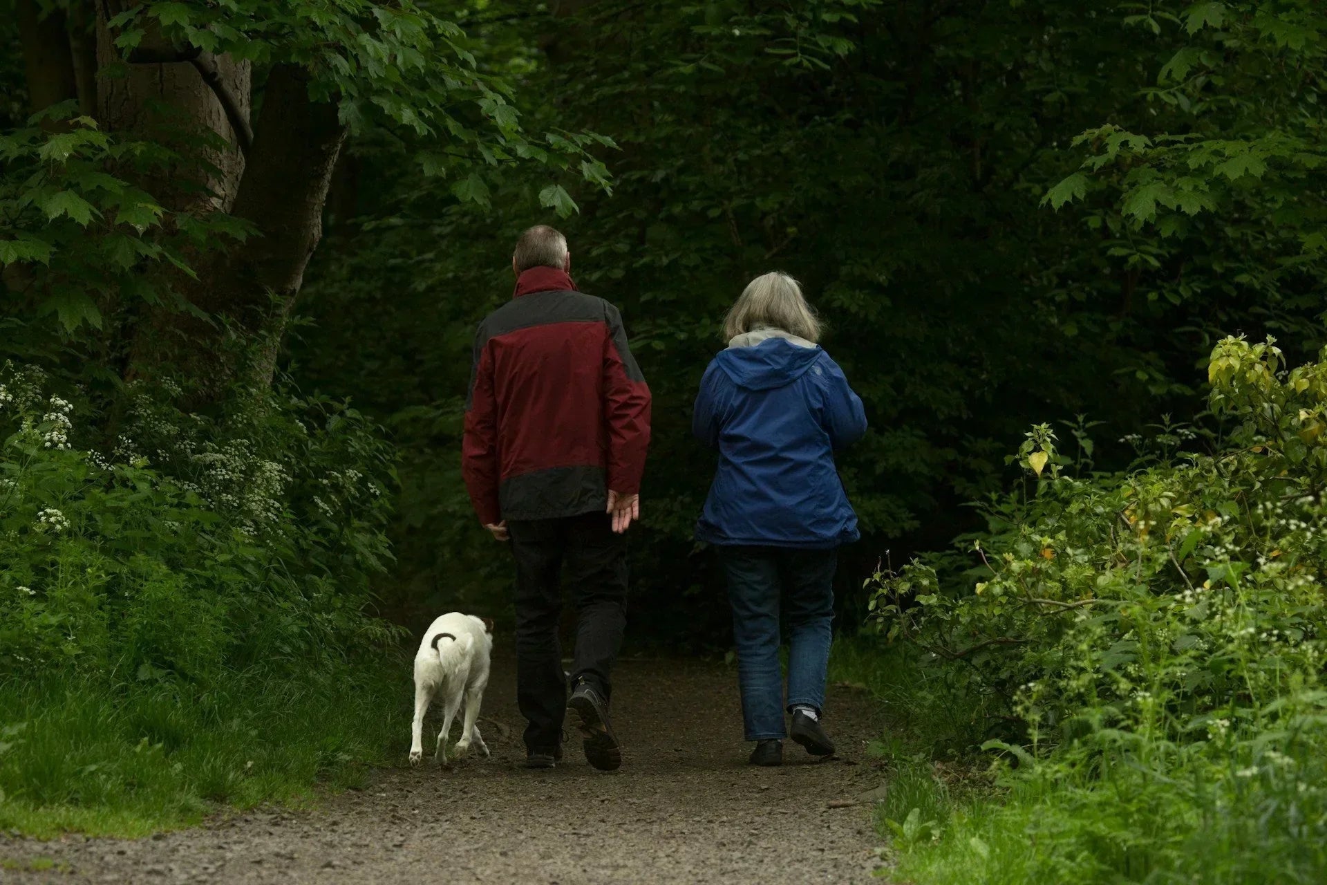 Elderly couple having a walk with a dog in nature.