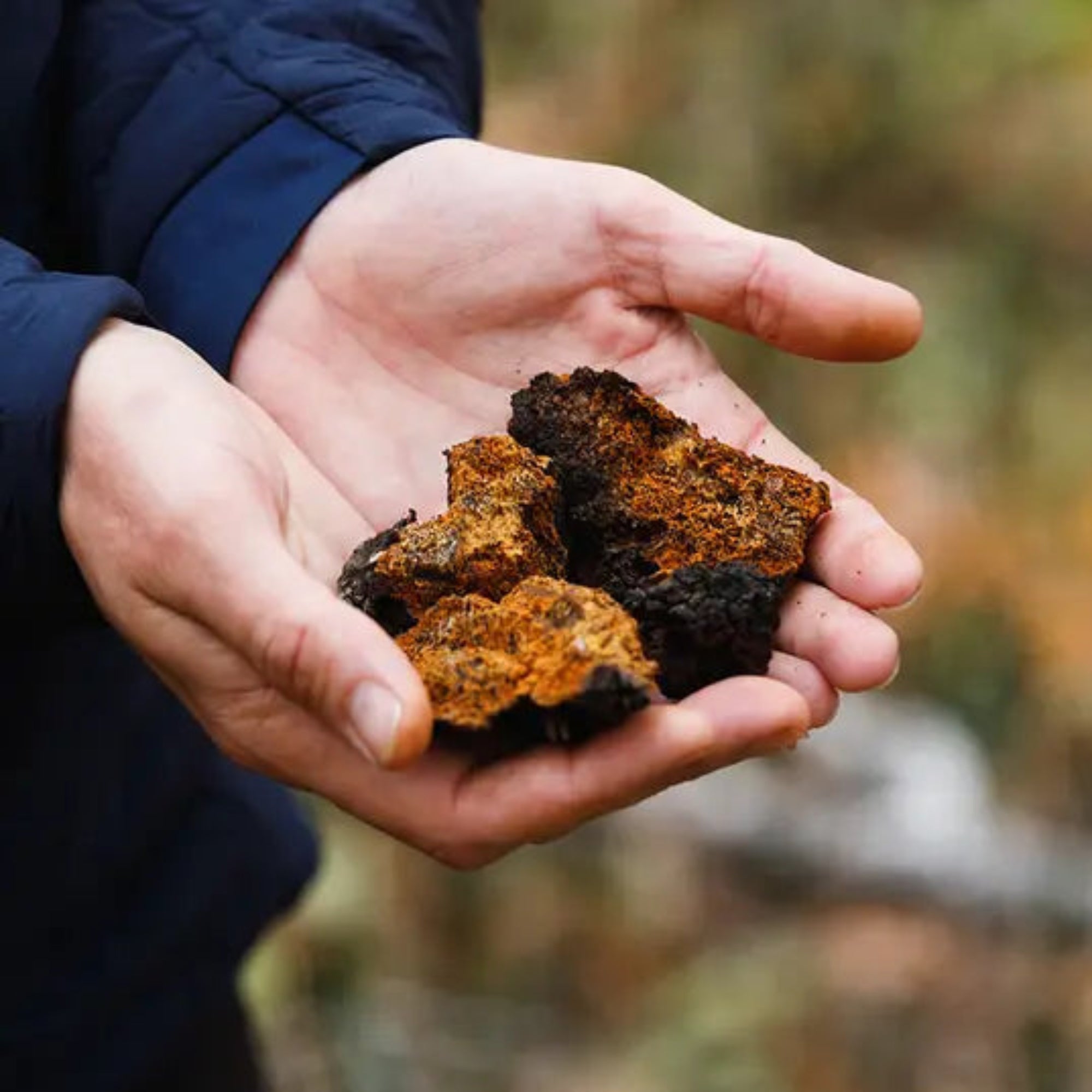 Superfeast Chaga - 100g Jar