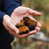 Superfeast Chaga - 100g Jar