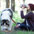 ASOBU Dog Bowl Bottle - Burgundy, 1L bottle + 360mL Bowl (Clearance Stock)
