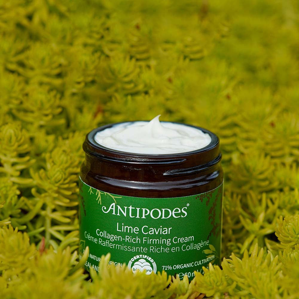 Antipodes Lime Caviar Collagen-Rich Firming Cream 60mL