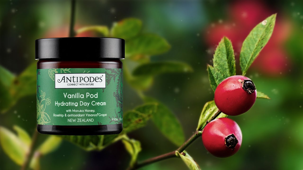 Antipodes Vanilla Pod Hydrating Day Cream 60mL