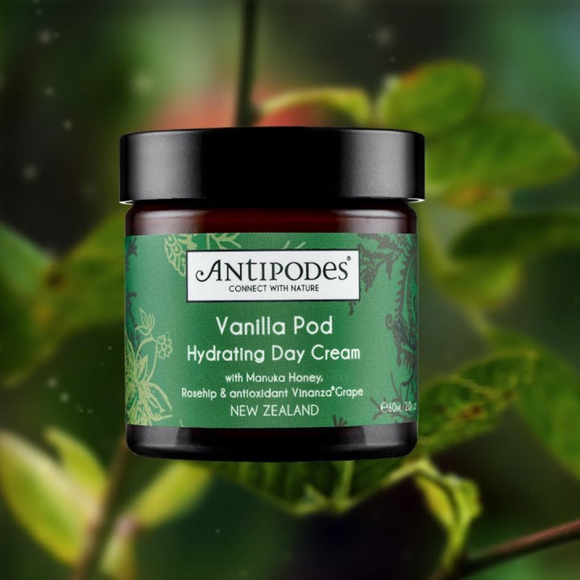 Antipodes Vanilla Pod Hydrating Day Cream 60mL - Clearance stock, expires in October 2025 Antipodes Vanilla Pod Hydrating Day Cream 60mL - Clearance stock, expires in October 2025