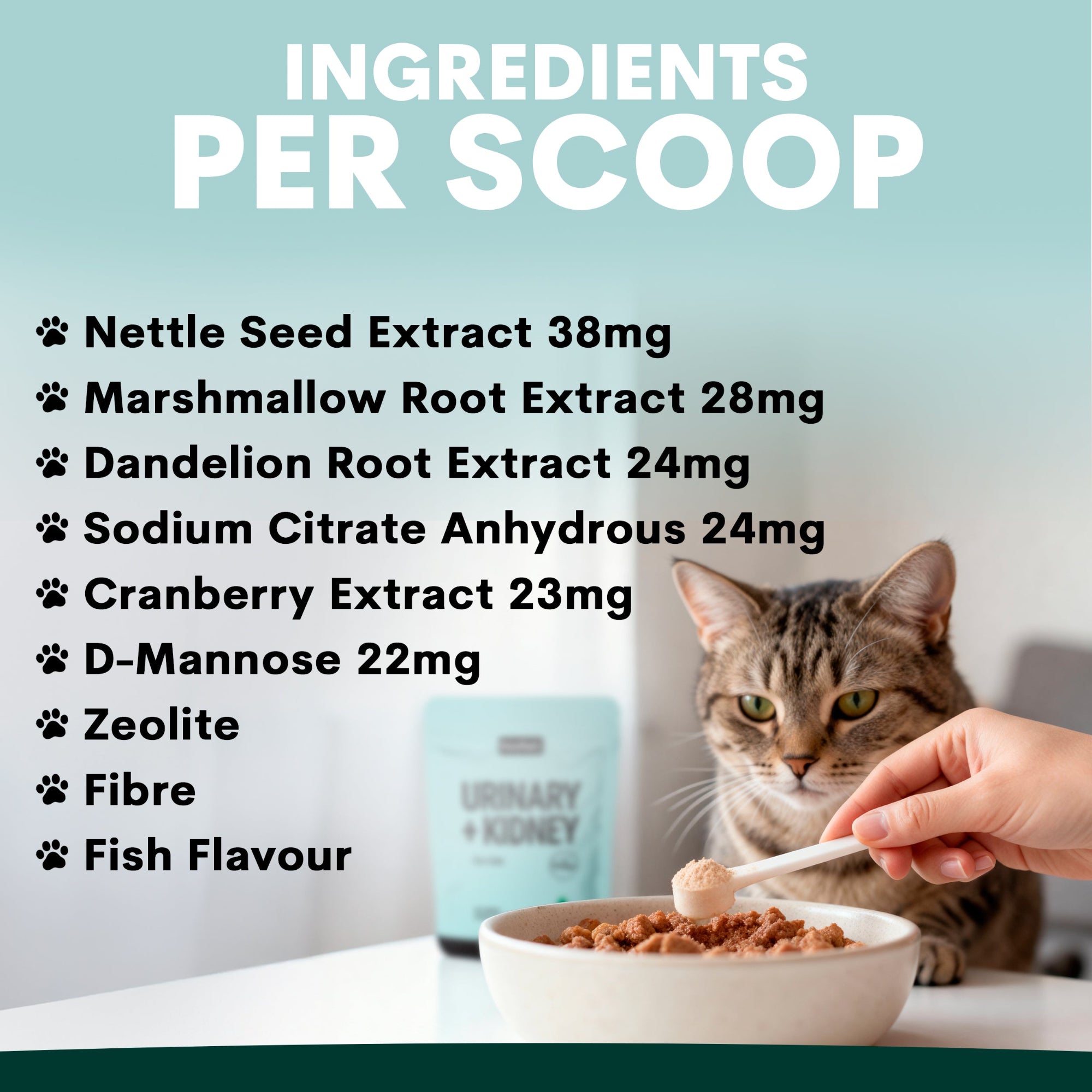 Petz Park Urinary + Kidney for Cats - 60 Scoops