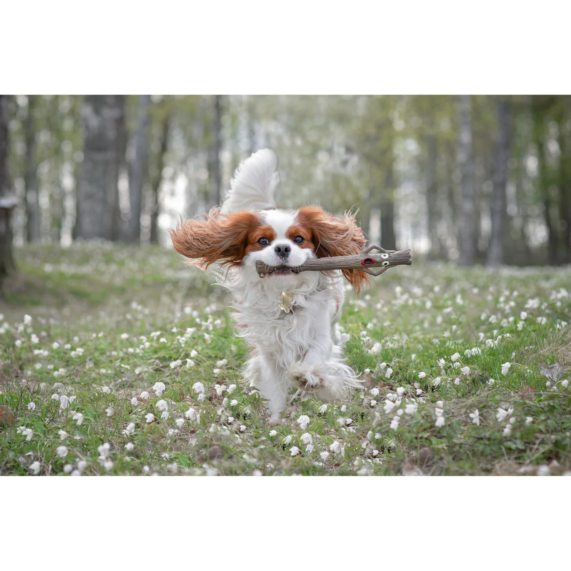 Doog "The Stick" - Totally Terrified Dog Toy