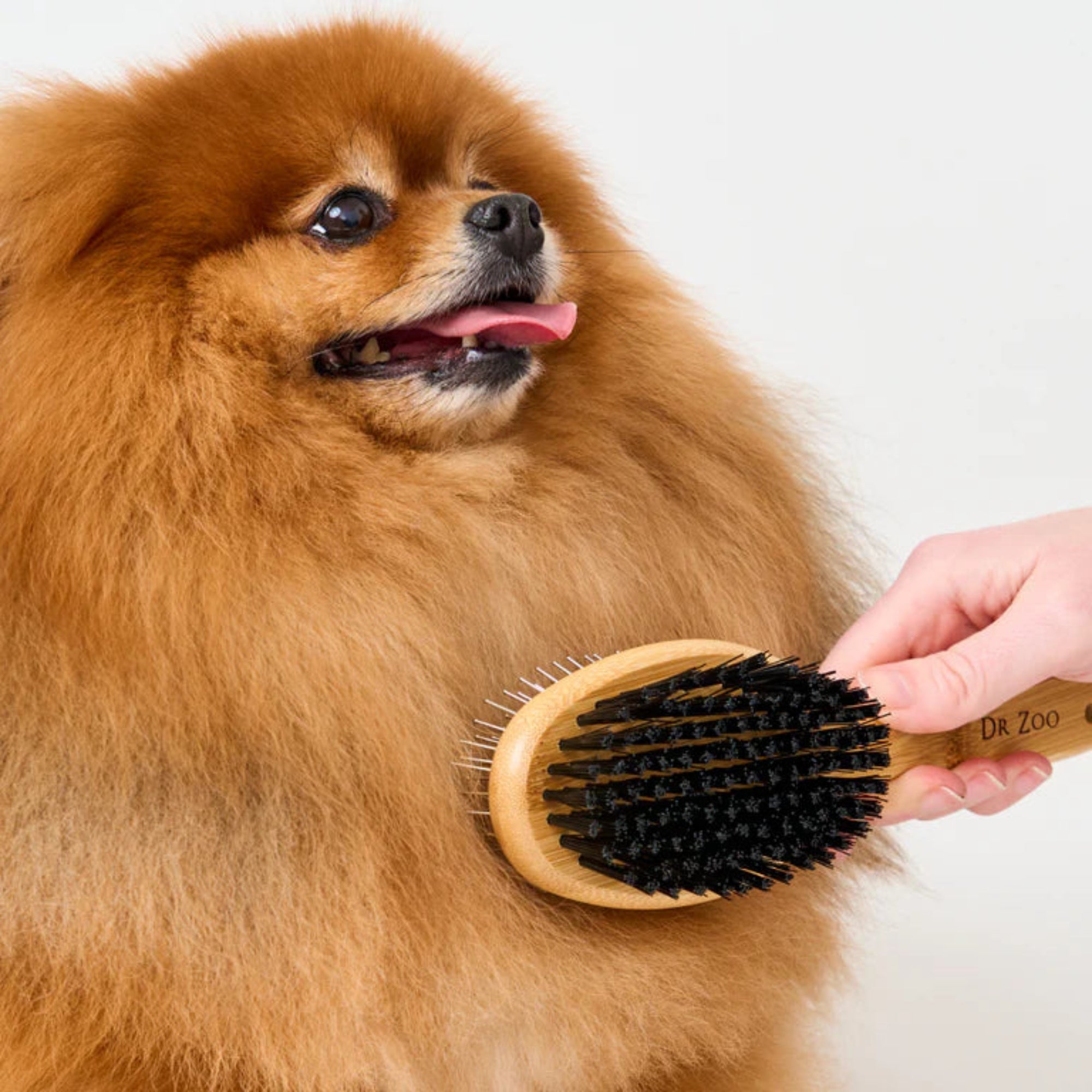 Dr.Zoo Bamboo Grooming Brush