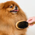 Dr.Zoo Bamboo Grooming Brush