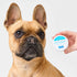 Dr.Zoo Crusty Nose Itchy Toes Nose & Paw Butter - 50g