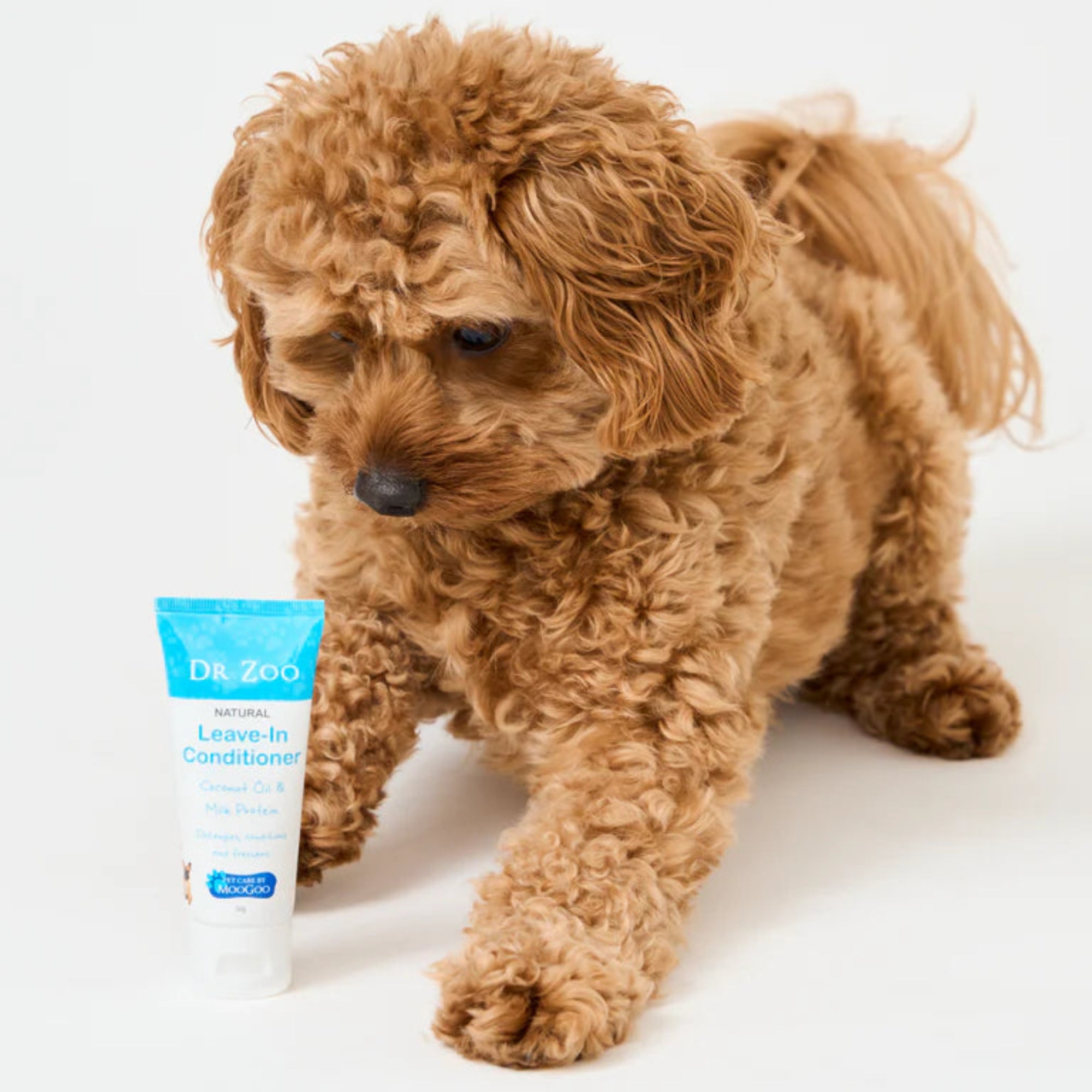 Dr.Zoo Leave-In Conditioner - 50g