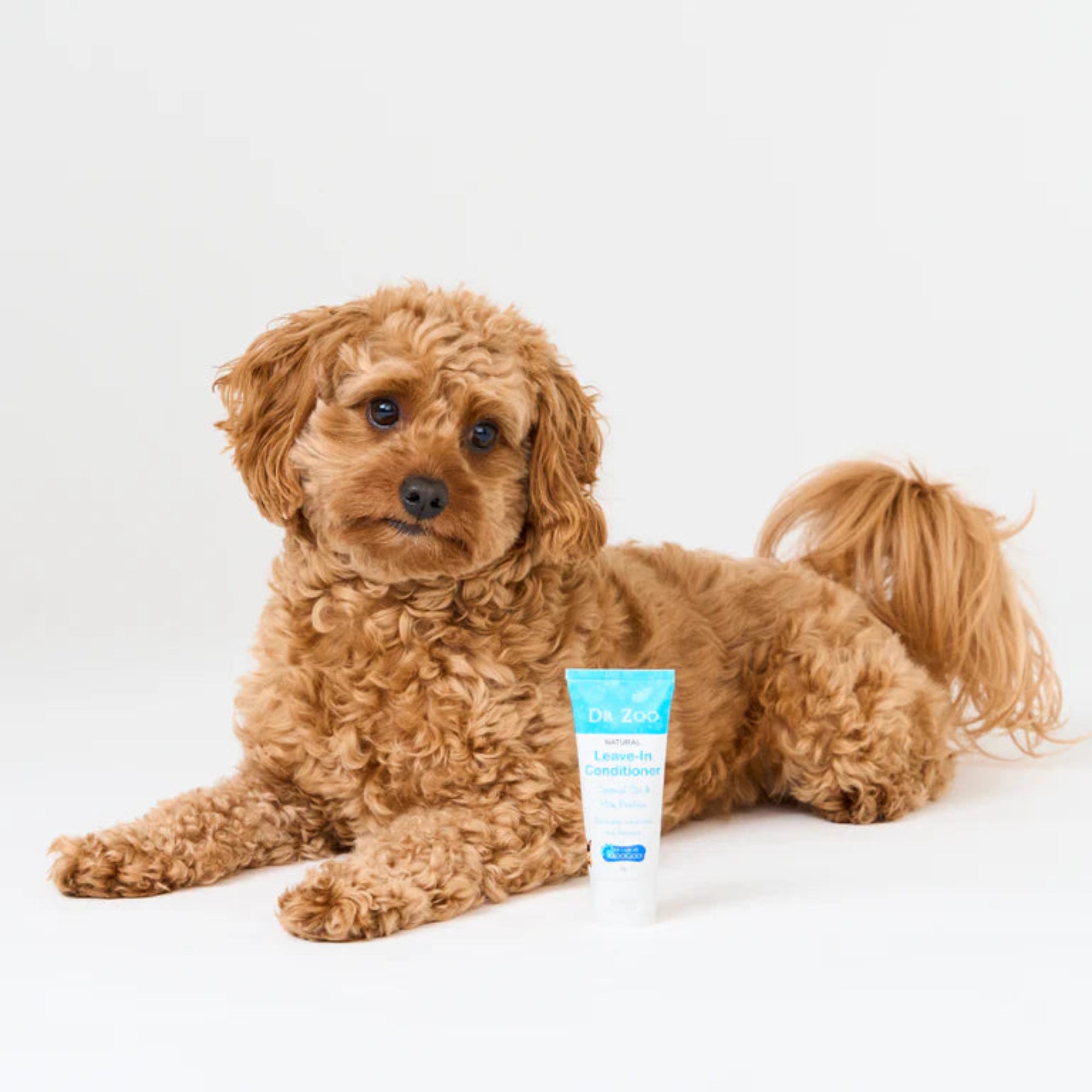 Dr.Zoo Leave-In Conditioner - 50g