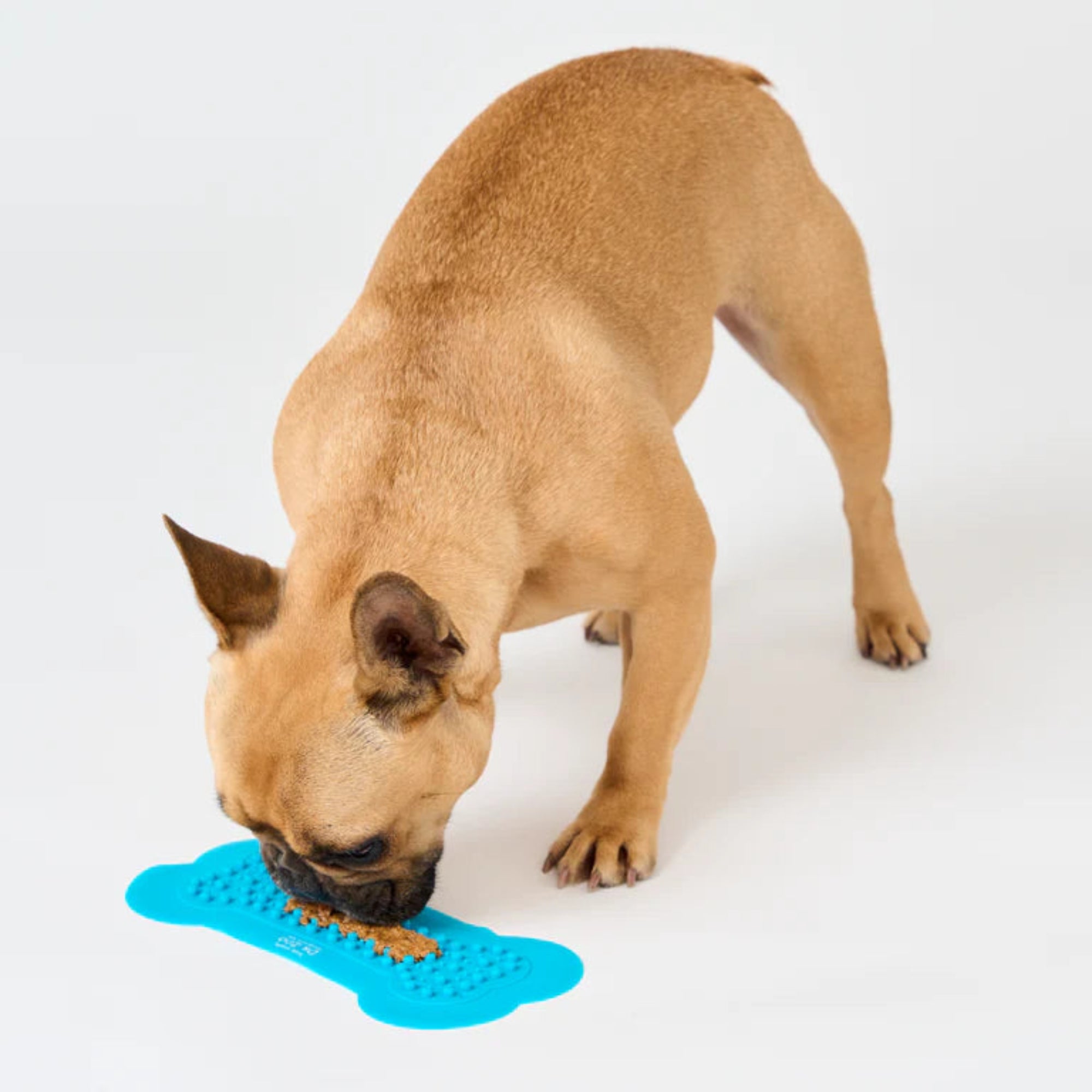 Dr.Zoo Lick & Stay Treat Mat - 1 Piece