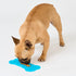 Dr.Zoo Lick & Stay Treat Mat - 1 Piece