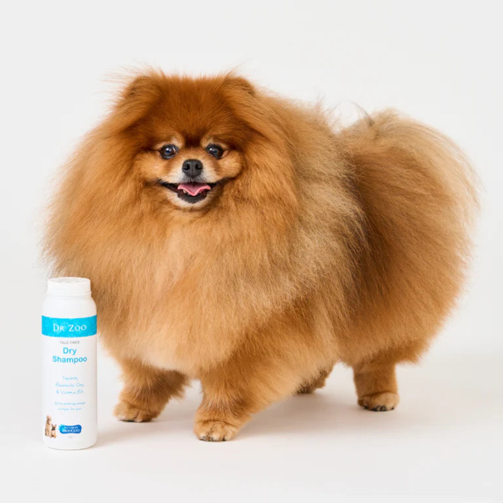 Dr.Zoo Talc Free Dry Shampoo for Pets - 200g