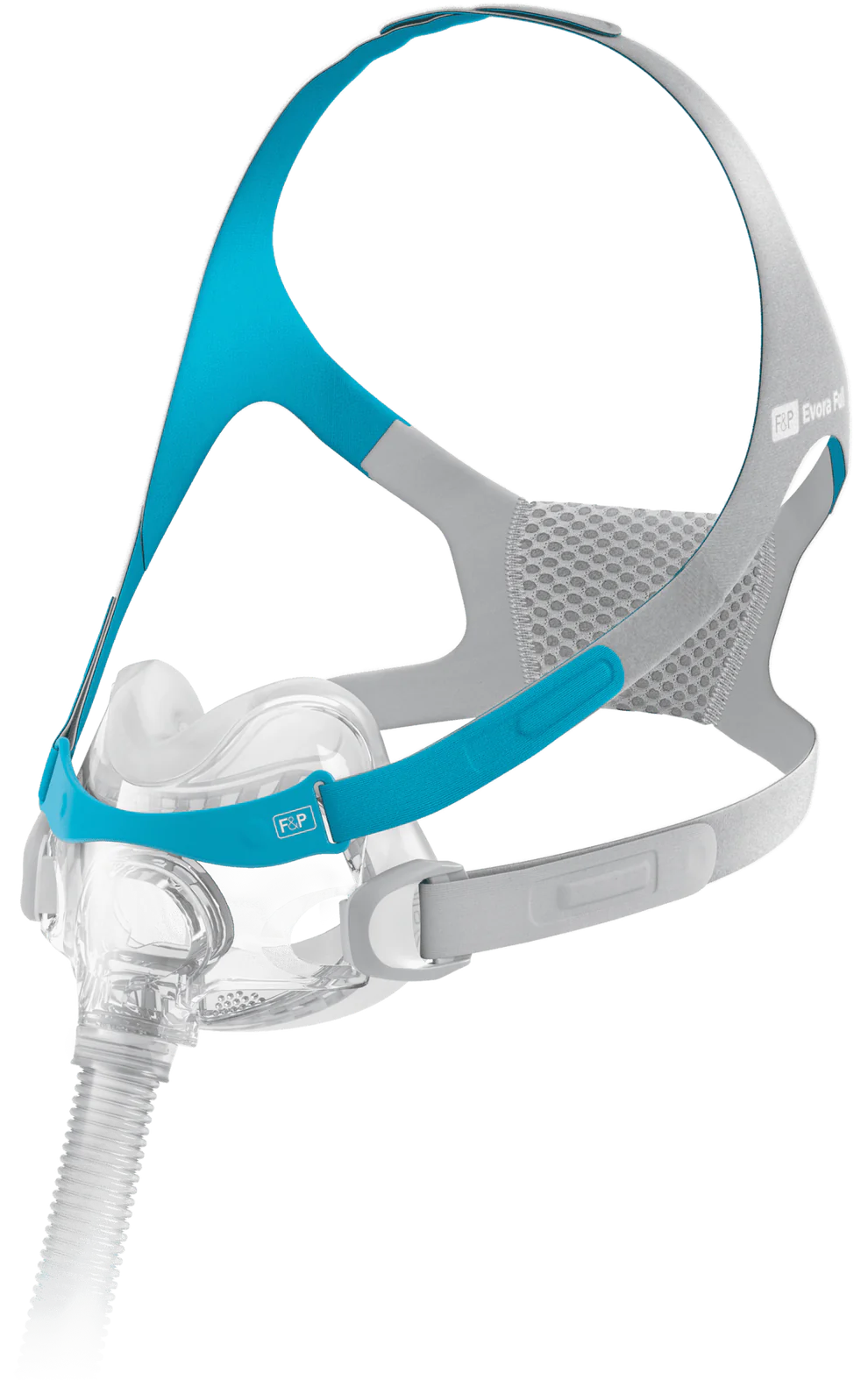 Fisher & Paykel Evora Full Face Mask Fit pack