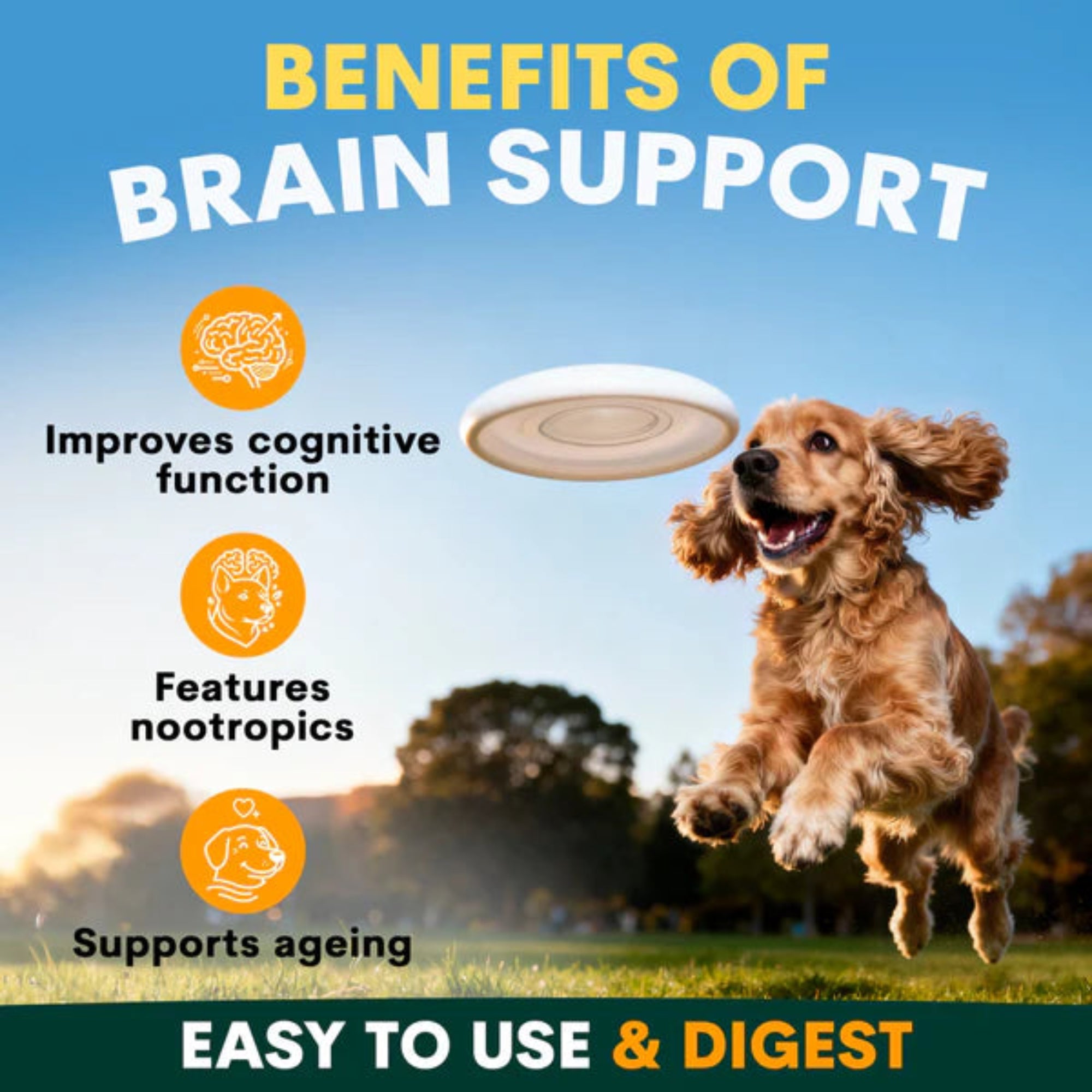 Petz Park Brain Support for Dogs - 90 Scoops