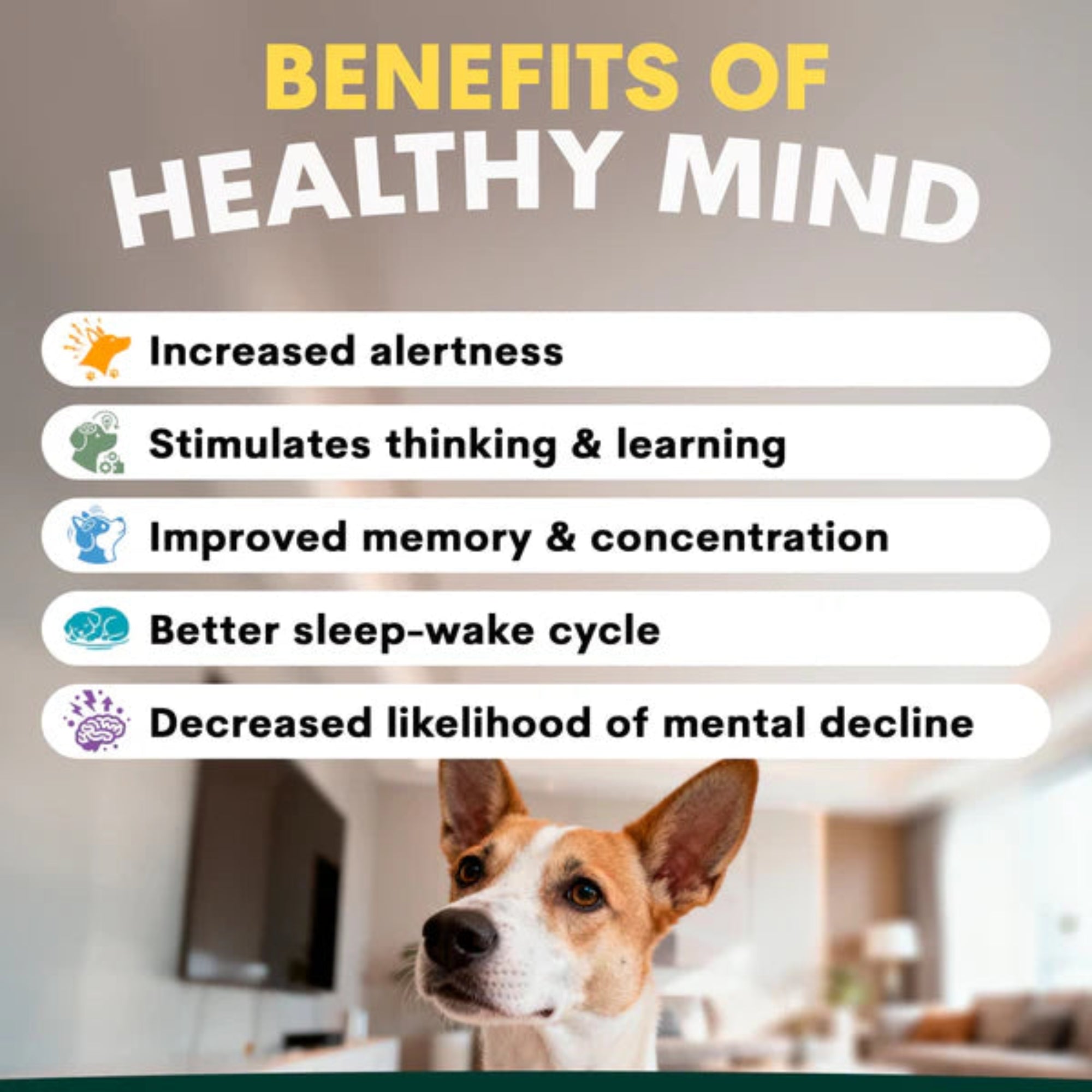 Petz Park Brain Support for Dogs - 90 Scoops