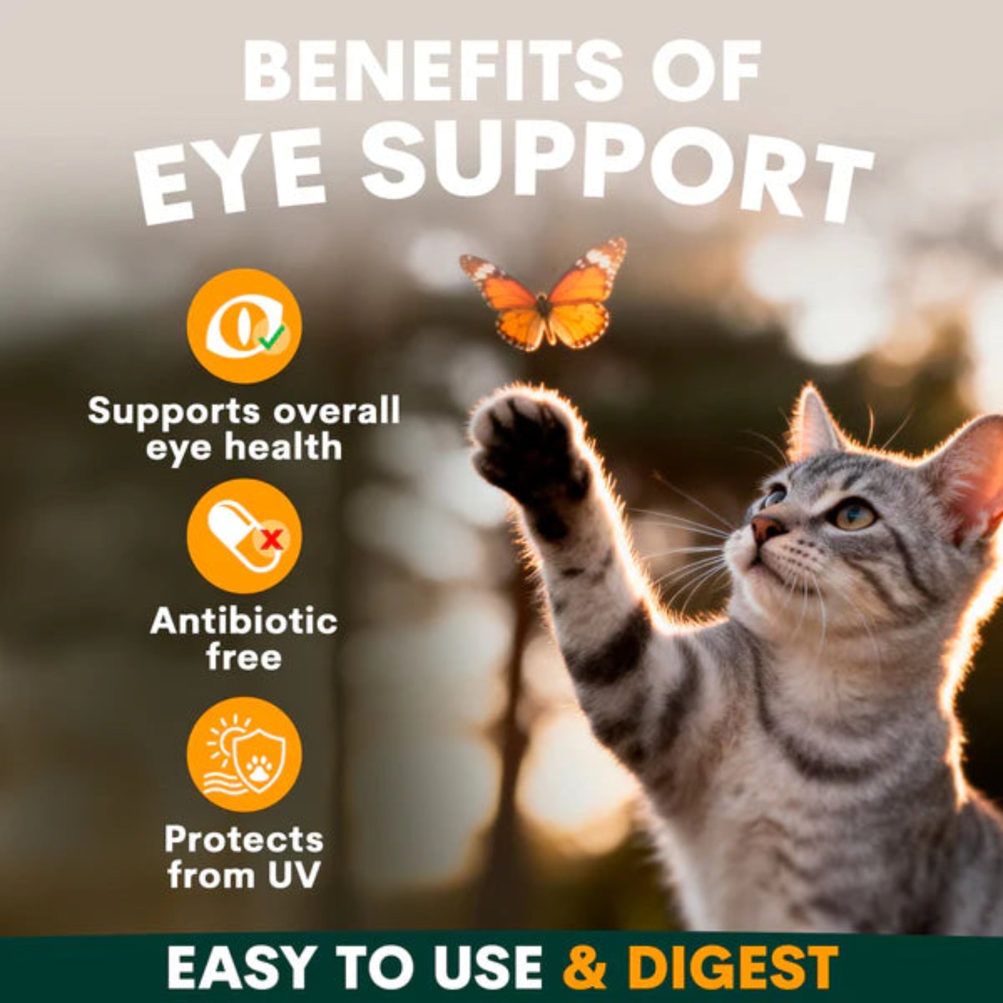 Petz Park Eye Support For Cats - 60 Scoops