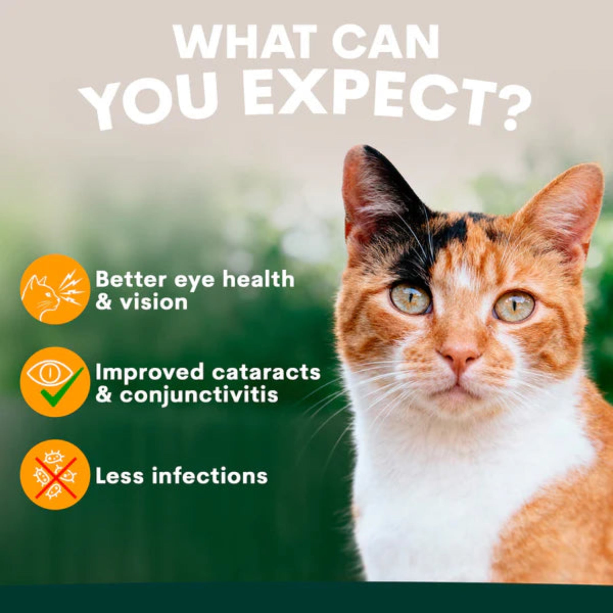 Petz Park Eye Support For Cats - 60 Scoops