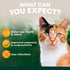 Petz Park Eye Support For Cats - 60 Scoops