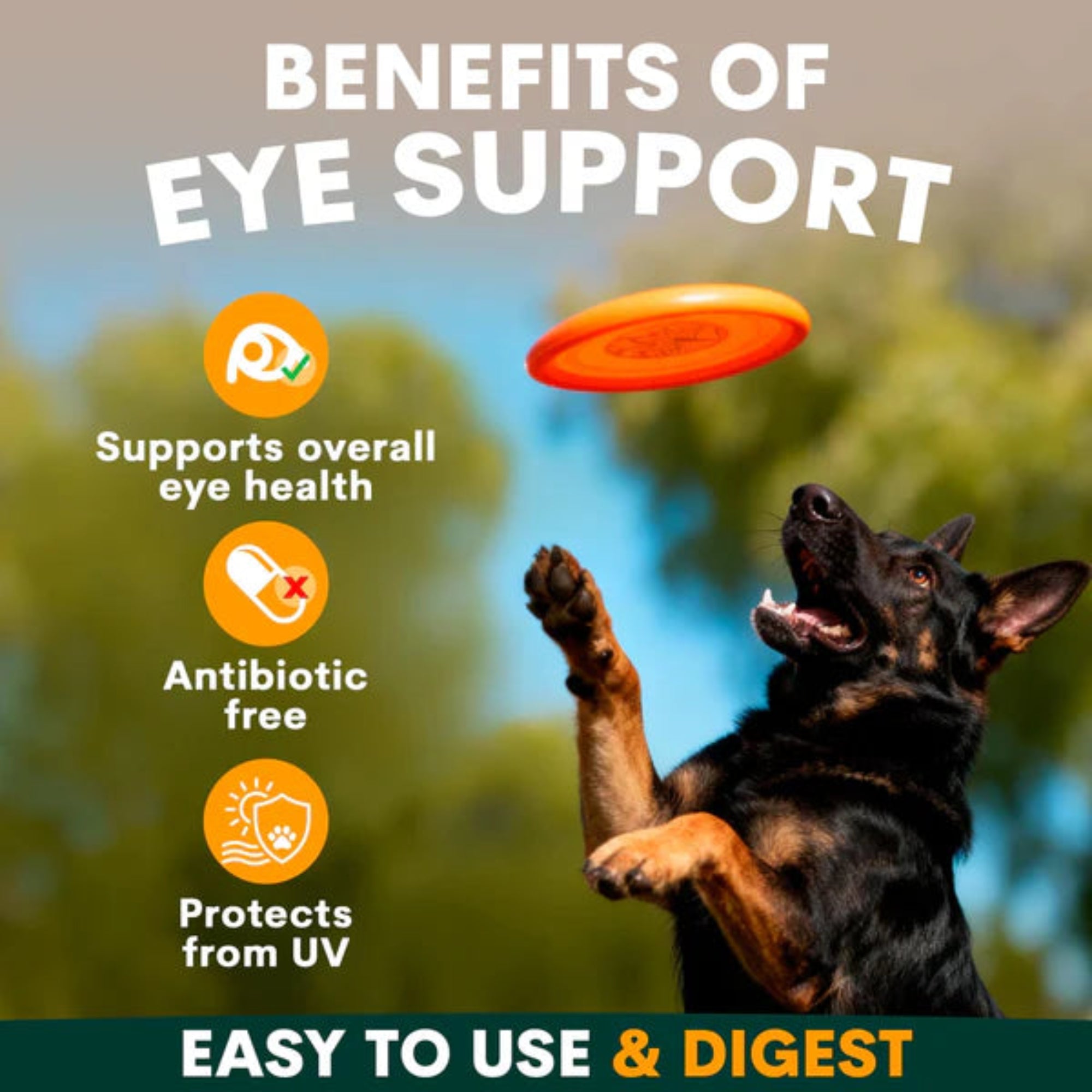 Petz Park Eye Support for Dogs - 90 Scoops