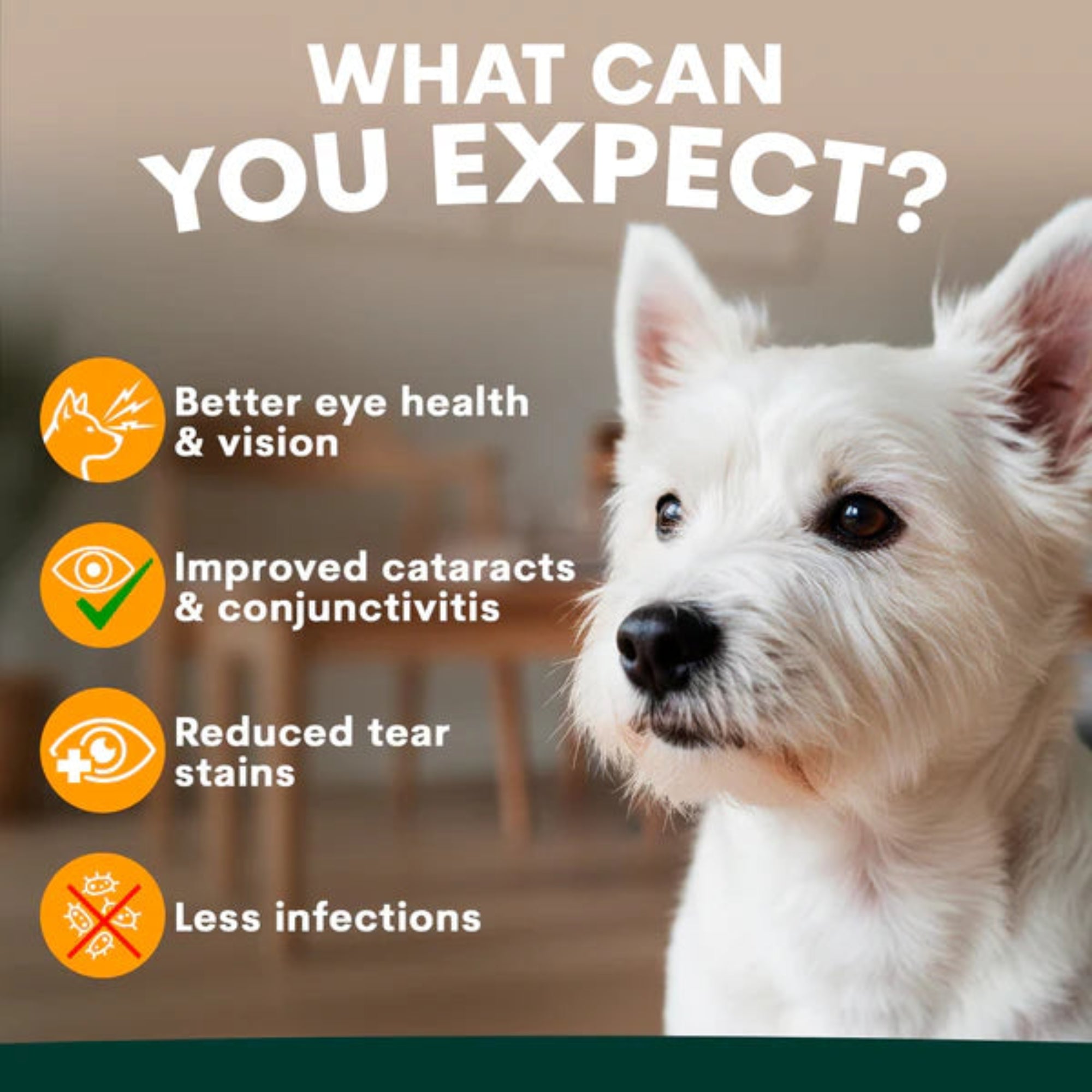Petz Park Eye Support for Dogs - 90 Scoops