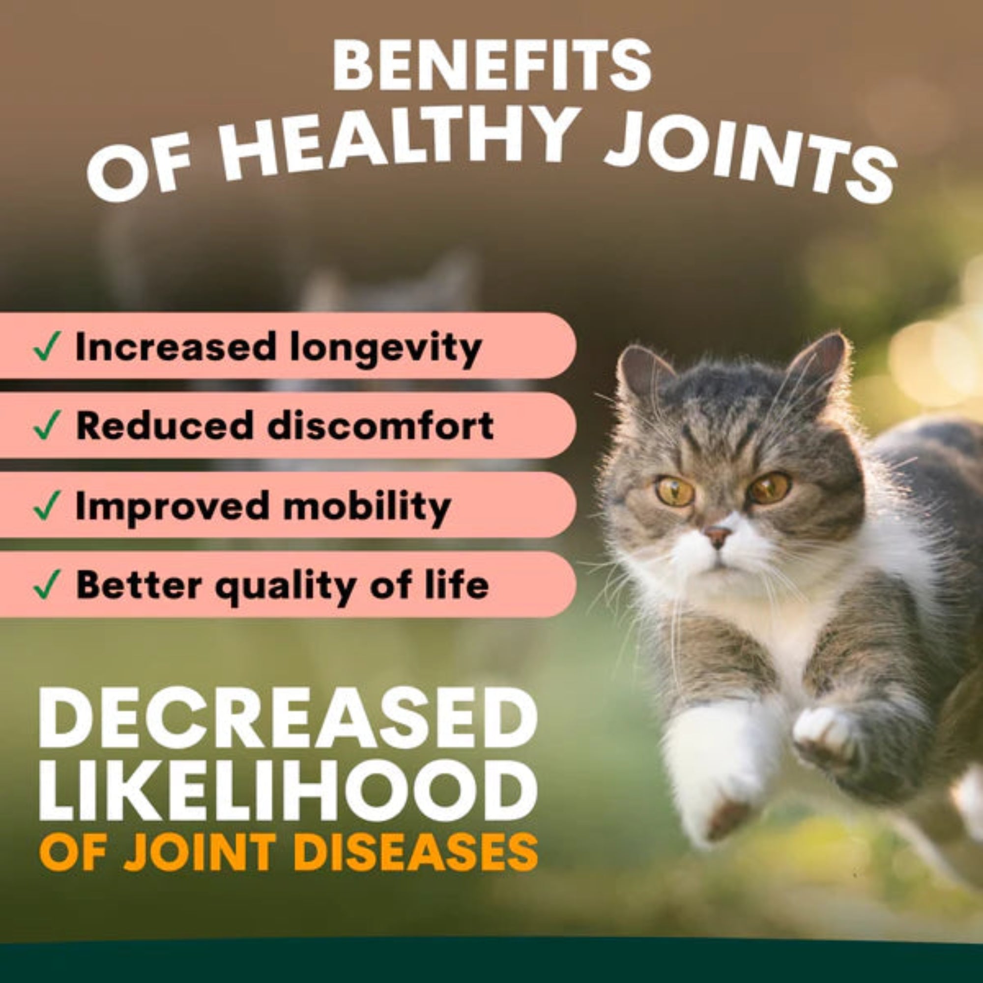 Petz Park Hip + Joint for Cats - 60 Scoops