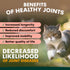 Petz Park Hip + Joint for Cats - 60 Scoops