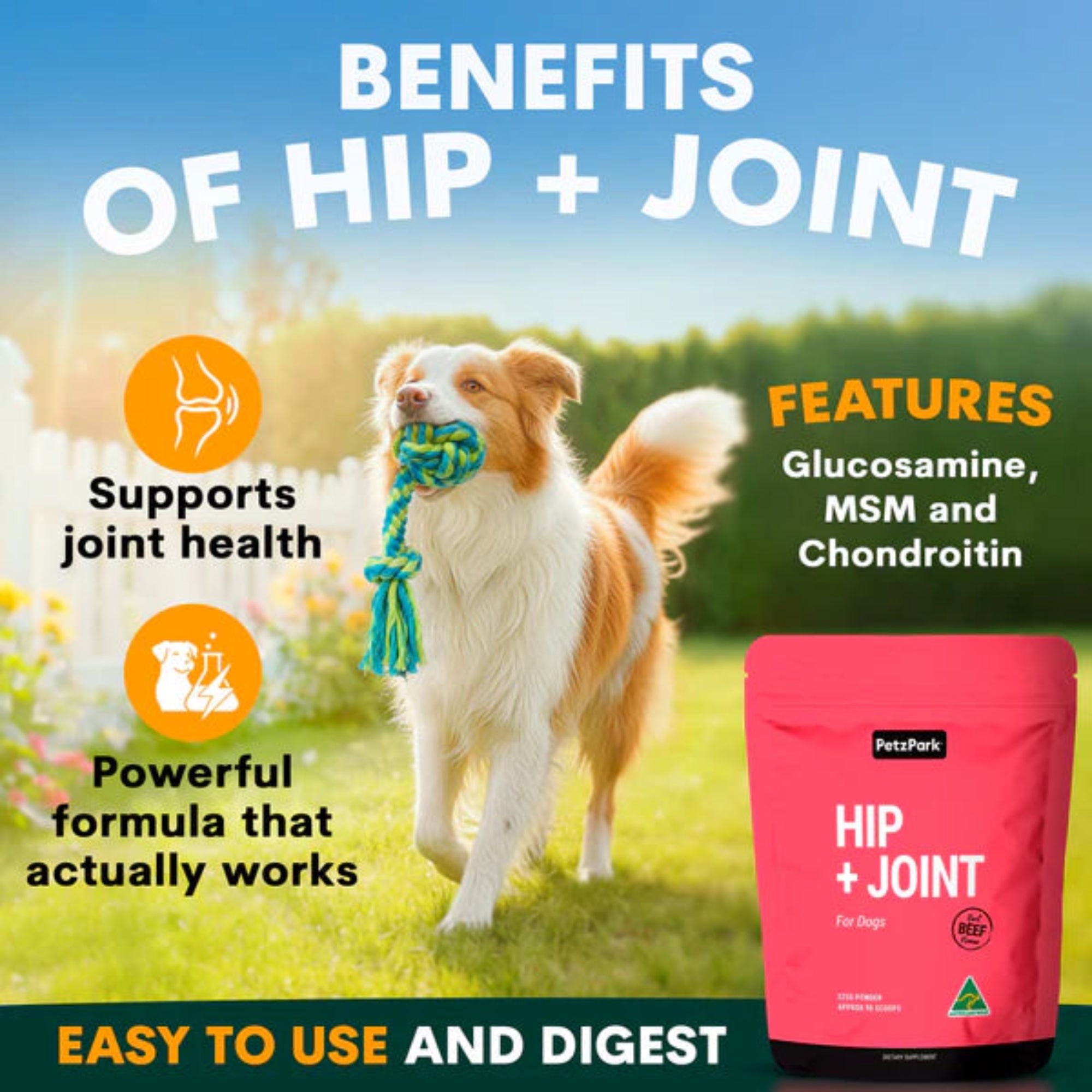 Petz Park Hip and Joint Support for Dogs - 90 Scoops