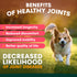 Petz Park Hip and Joint Support for Dogs - 90 Scoops