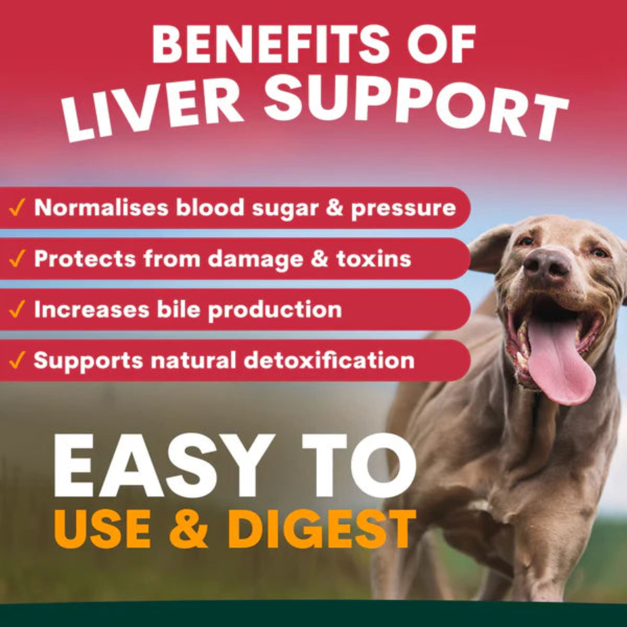 Petz Park Liver Support for Dogs 90 Scoops