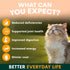 Petz Park Multivatimin for Cats - 60 Scoops