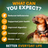 Petz Park Multivitamin for Dogs - 90 Scoops