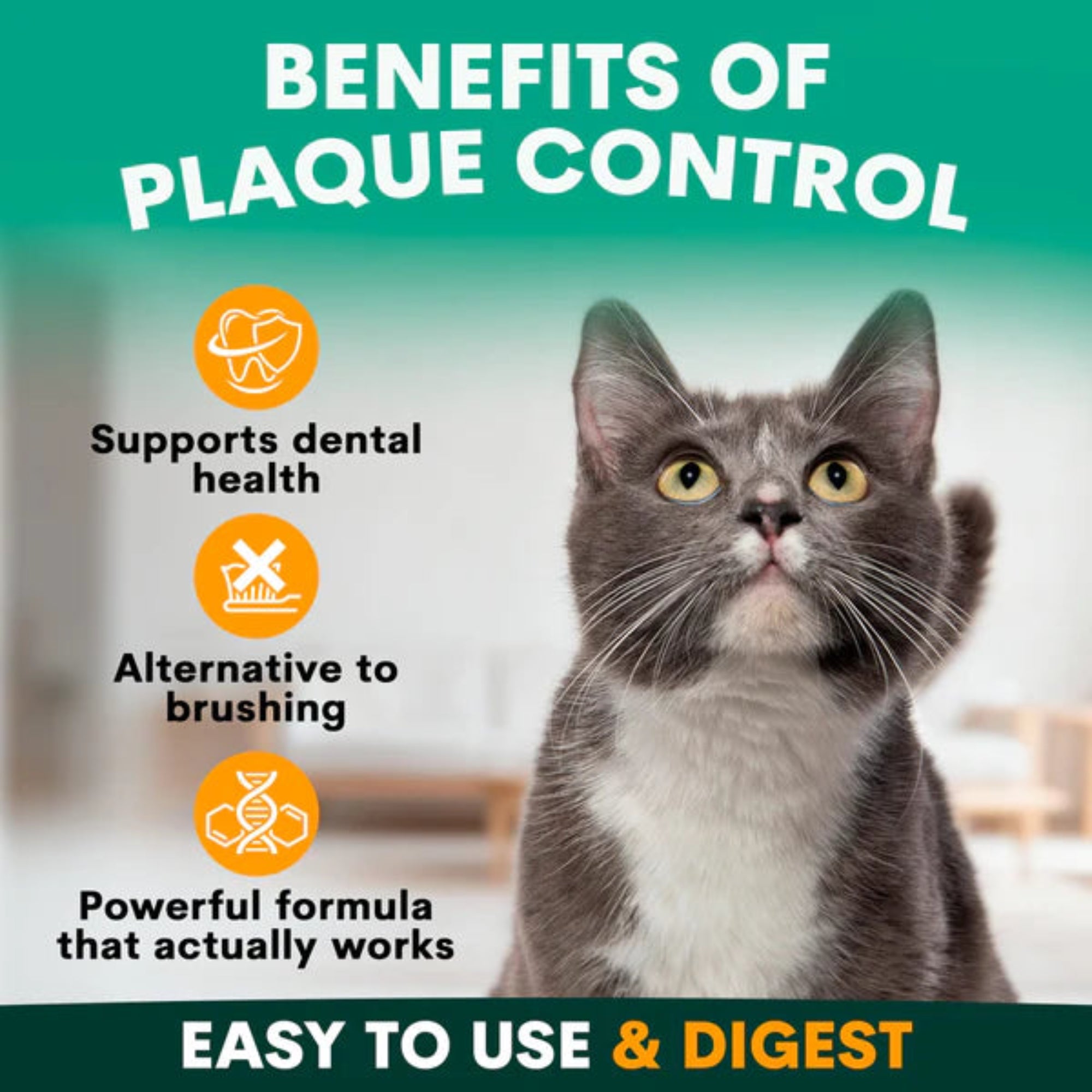 Petz Park Plaque Control for Cats - 90 Scoops