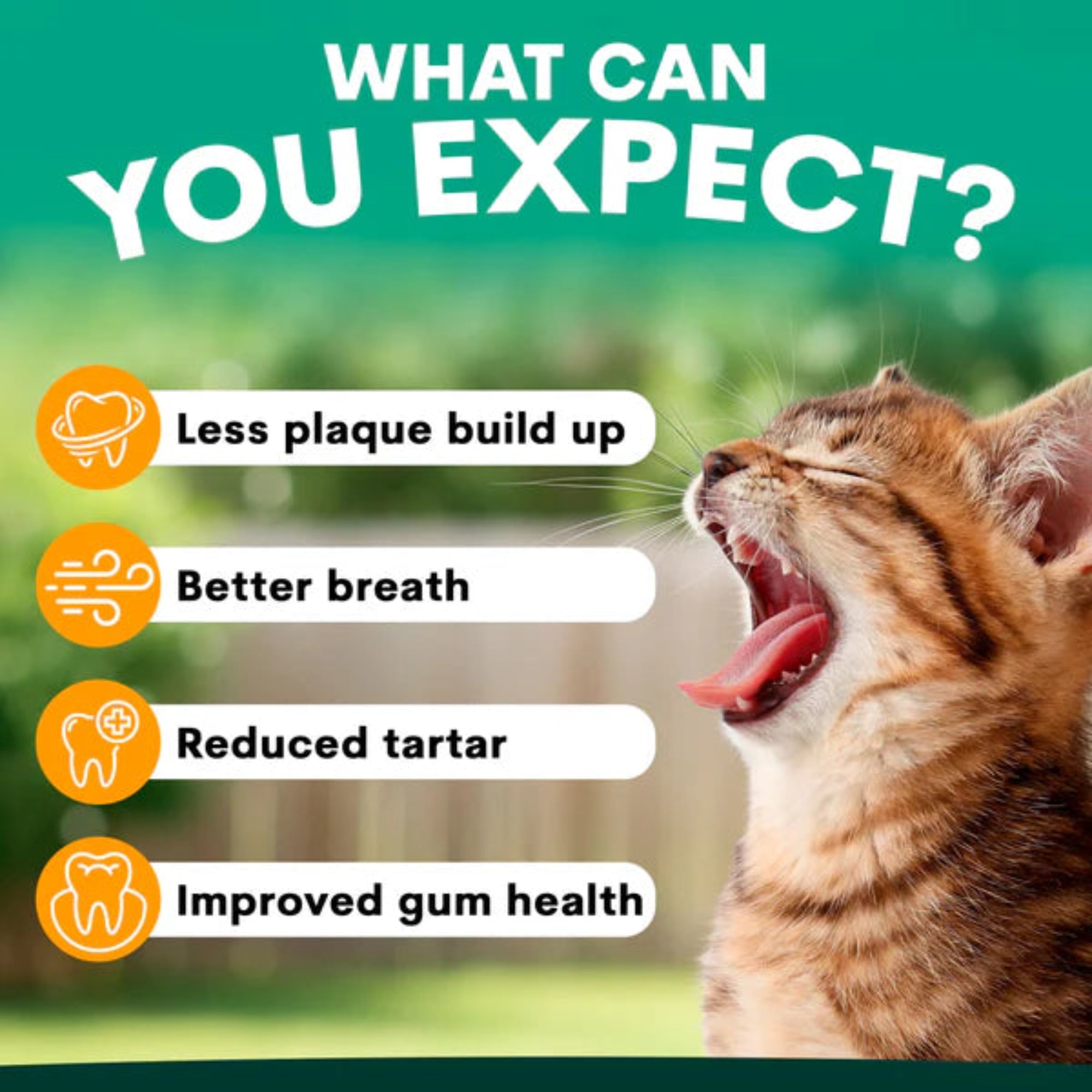 Petz Park Plaque Control for Cats - 90 Scoops