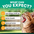 Petz Park Plaque Control for Cats - 90 Scoops