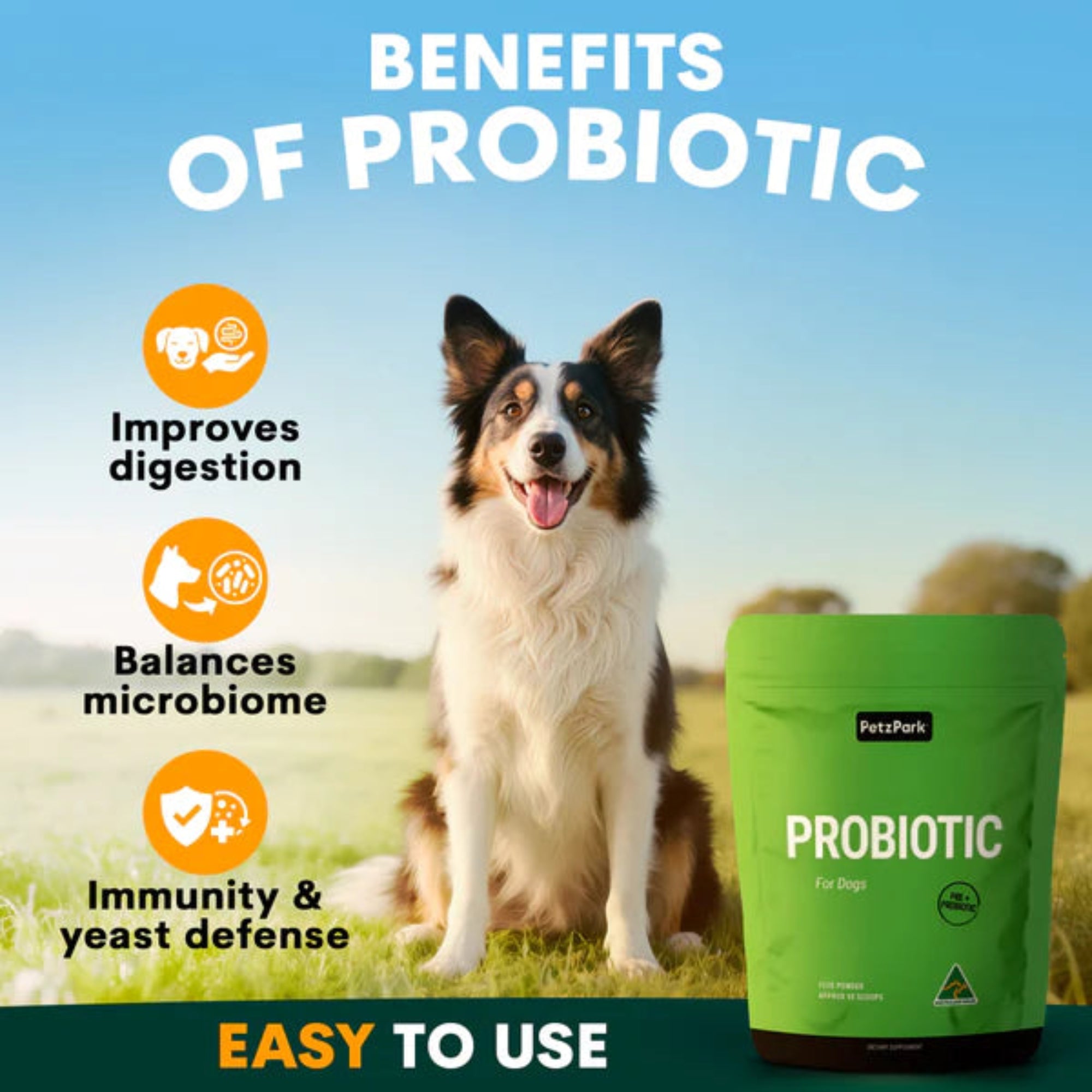 Petz Park Probiotic for Dogs 90 Scoops