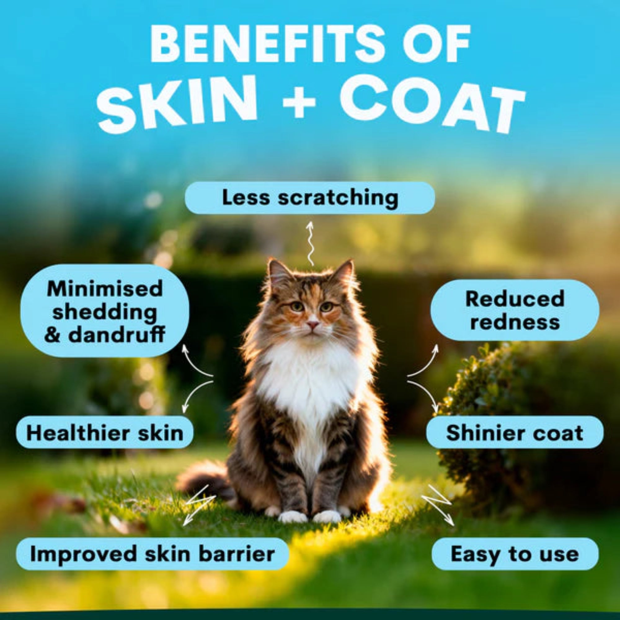 Petz Park Skin + Coat for Cats - 60 Scoops