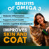 Petz Park Skin + Coat for Cats - 60 Scoops