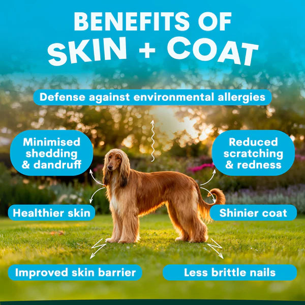 Petz Park Skin and Coat for Dogs - 90 Scoops