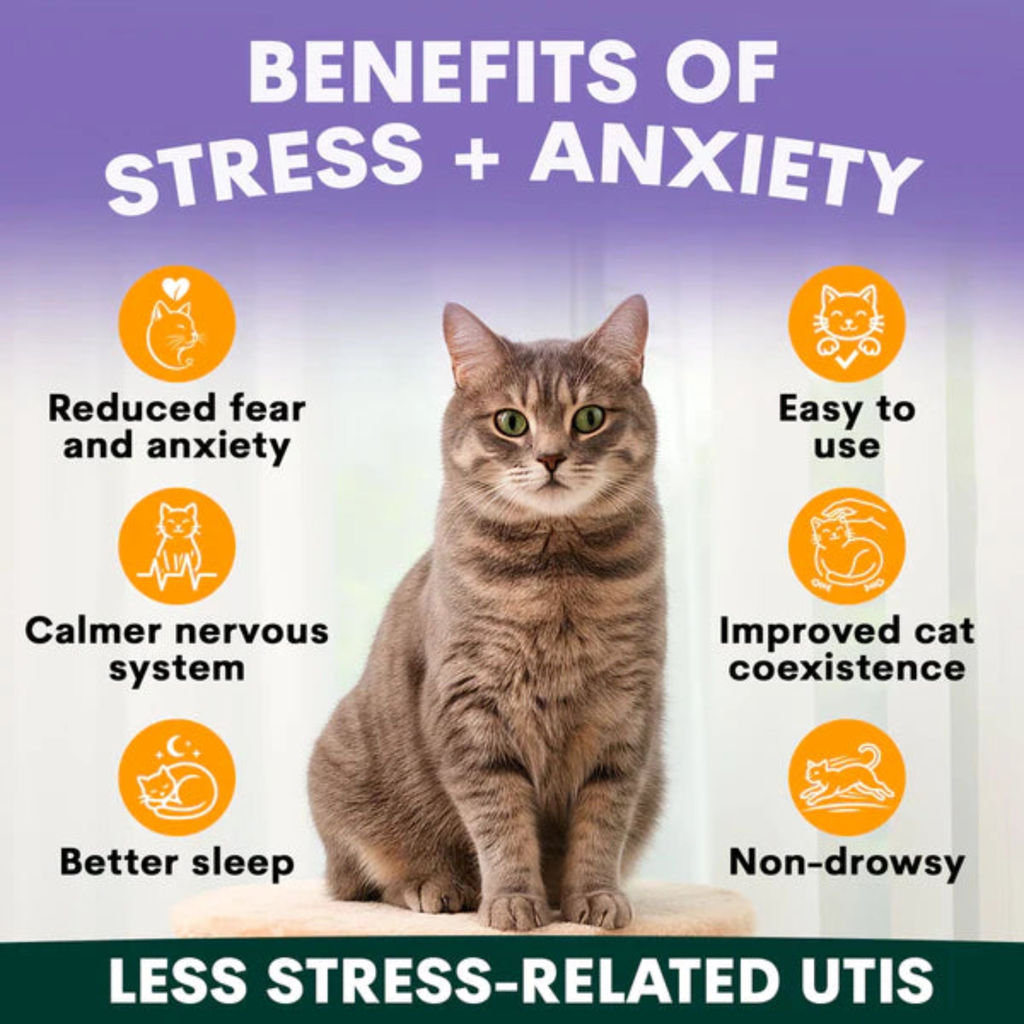 Petz Park Stress + Anxiety for Cats - 90 Scoops
