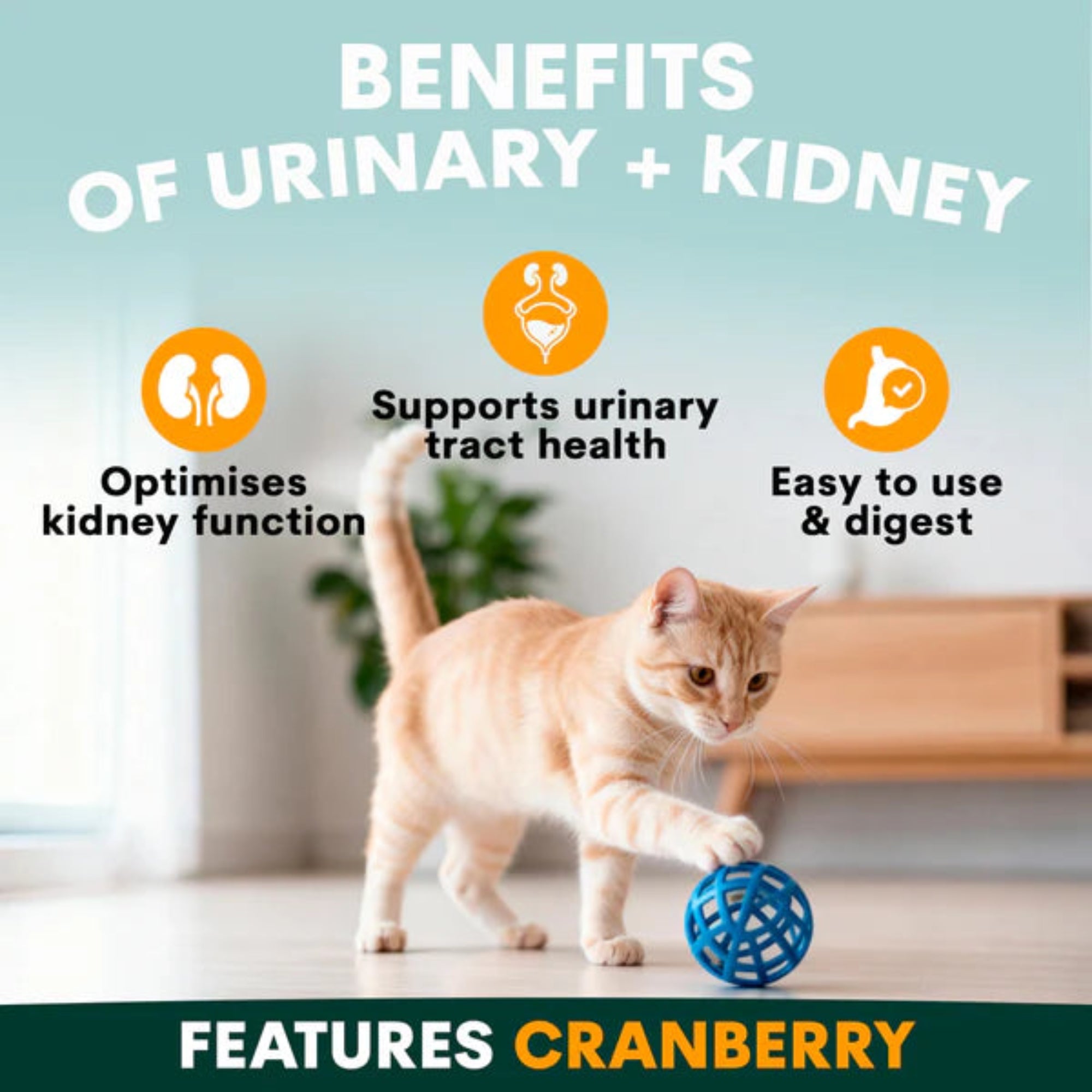 Petz Park Urinary + Kidney for Cats - 60 Scoops