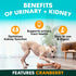 Petz Park Urinary + Kidney for Dogs - 90 Scoops