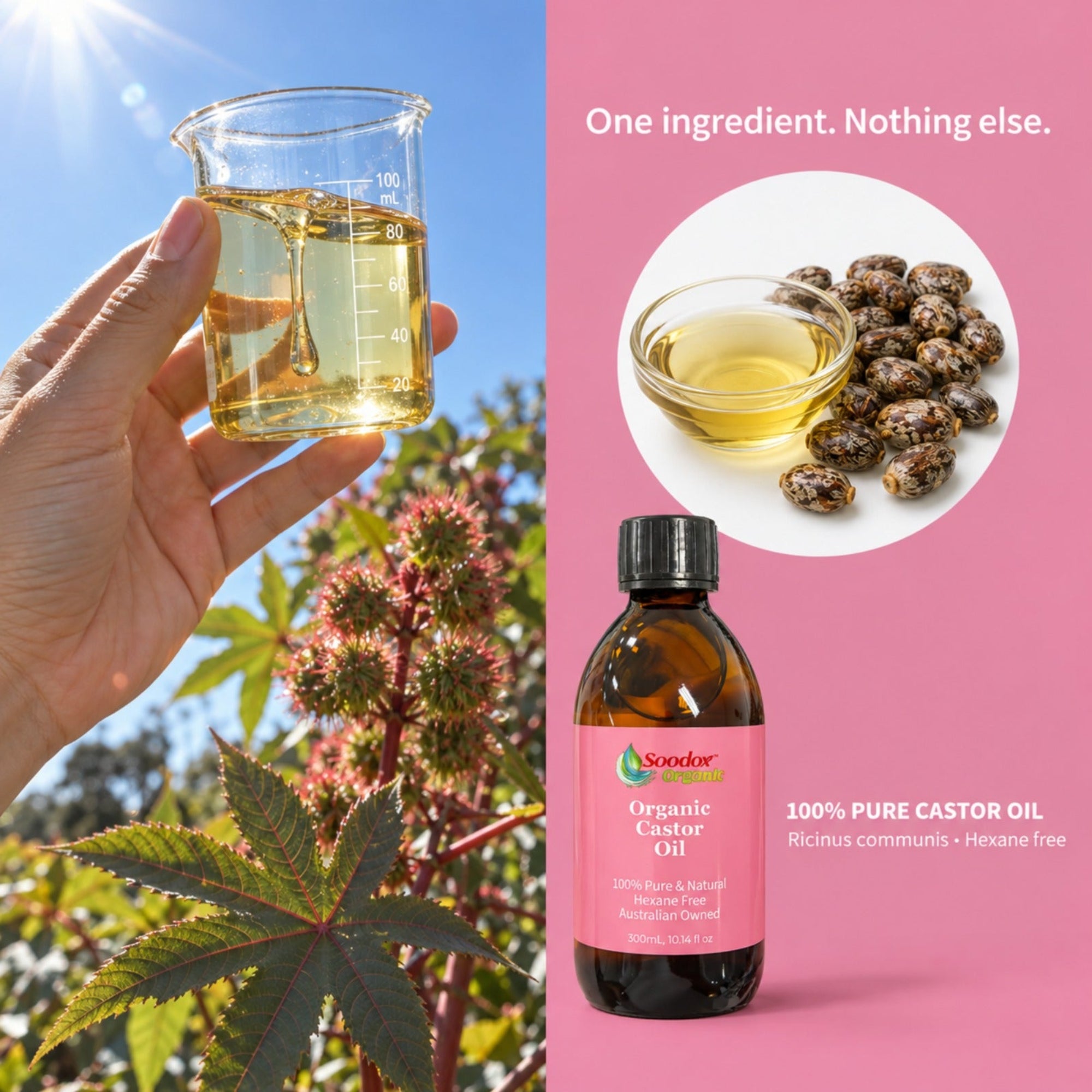 Soodox™ Organic Castor Oil - 300mL
