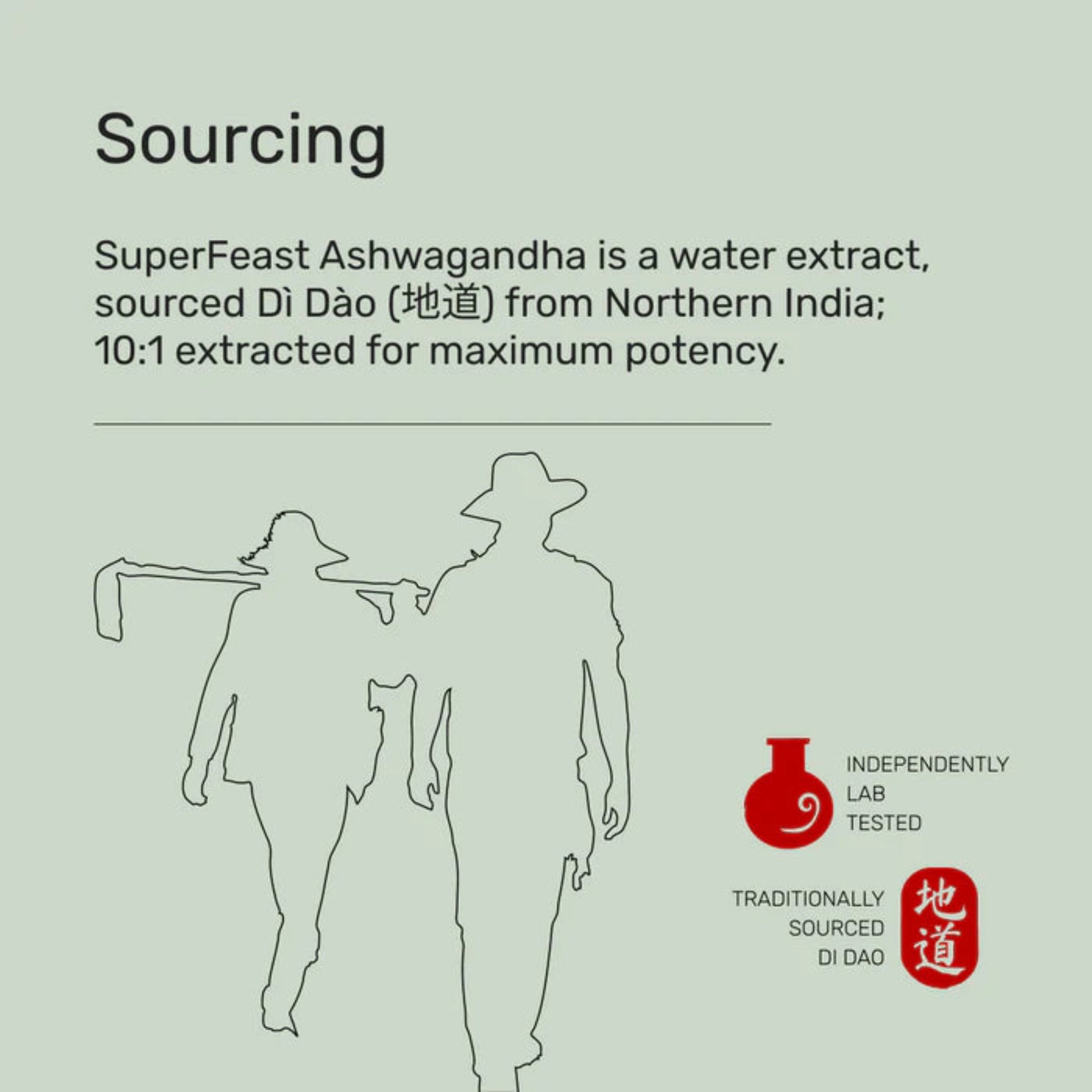 Superfeast Ashwagandha - 90 Capsules Jar