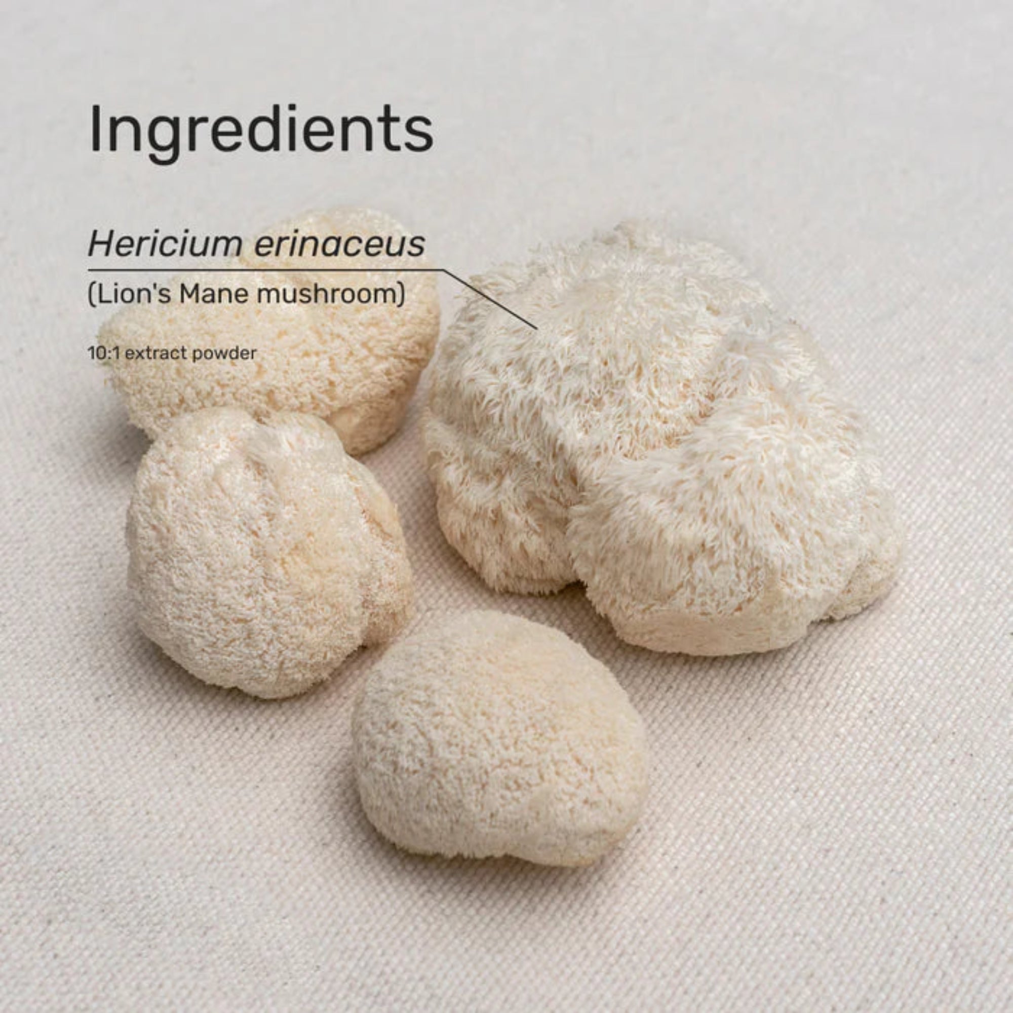 Superfeast Lion's Mane - 100g Jar