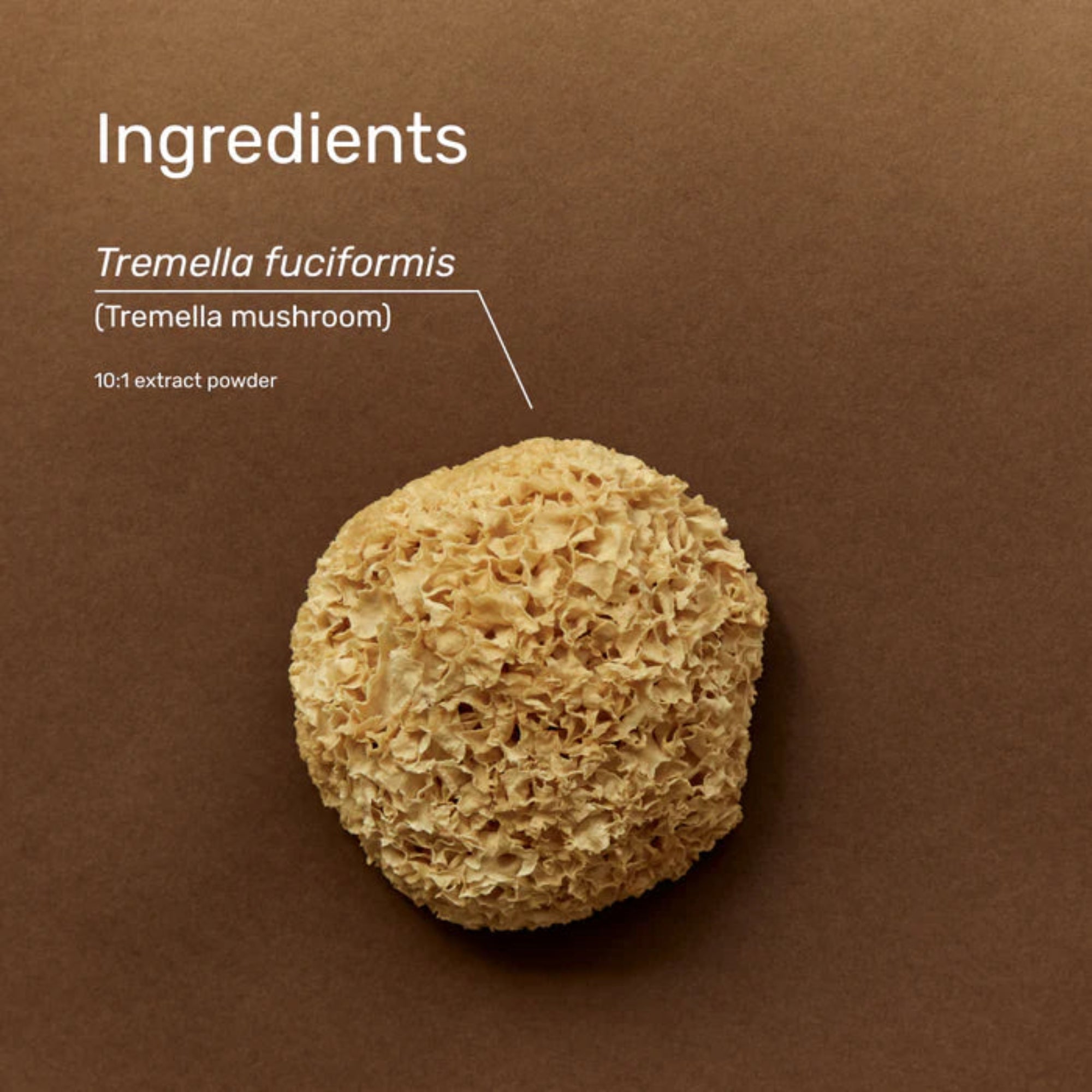Superfeast Tremella - 100g Jar