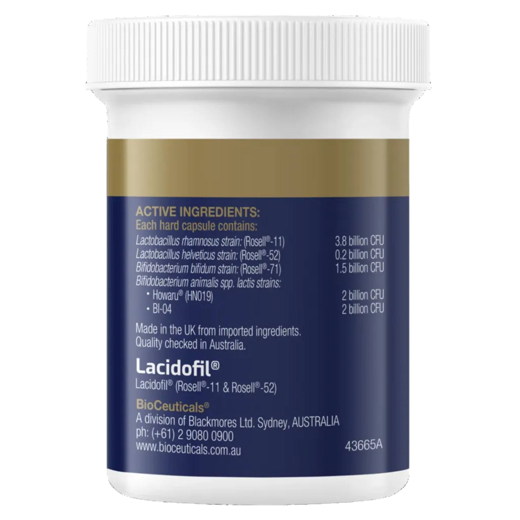 BioCeuticals UltraBiotic® Immune + Antibiotic Support - 30 Hard Capsules