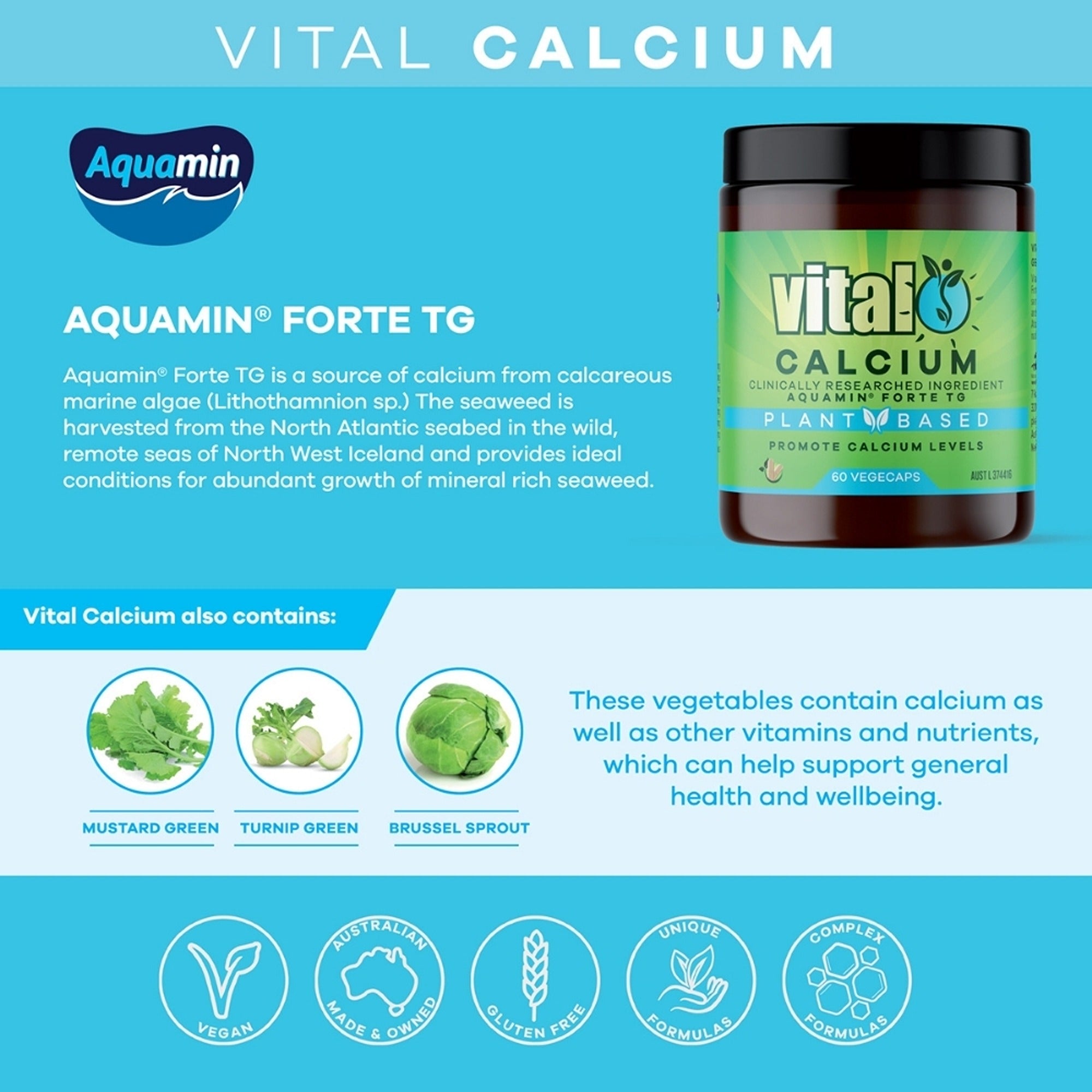 Vital Calcium Vegecaps 60s